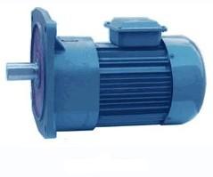 立式 微型齒輪馬達